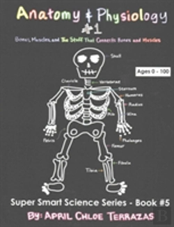 Bertrand.pt - Anatomy & Physiology Part 1