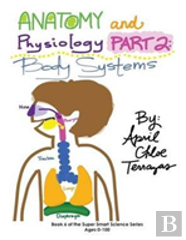 Anatomy & Physiology Part 2