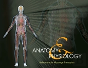 Anatomy & Physiology Reference For Massage Therapists
