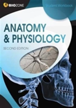 Bertrand.pt - Anatomy & Physiology
