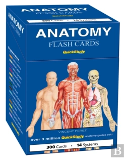 Bertrand.pt - Anatomy Flash Cards (300 Cards)