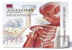 Anatomy Flash Cards
