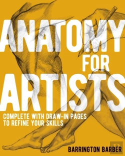 Bertrand.pt - Anatomy For Artists