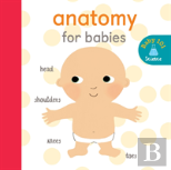 Anatomy For Babies