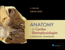 Bertrand.pt - Anatomy For Cardiac Electrophysiologists
