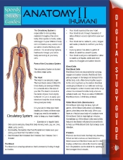 Anatomy Ii (Human) (Speedy Study Guides)