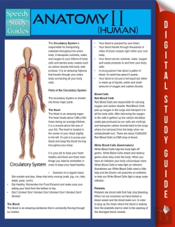 Bertrand.pt - Anatomy Ii (Human) (Speedy Study Guides)