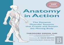 Anatomy In Action
