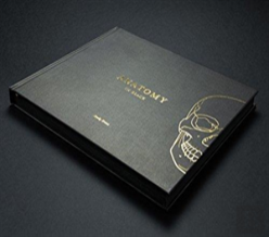 Anatomy In Black