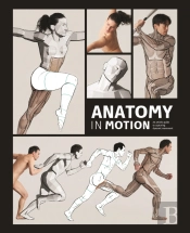 Anatomy In Motion