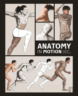 Bertrand.pt - Anatomy In Motion