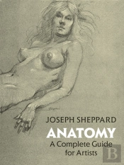 Anatomy