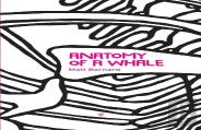 Anatomy Of A Whale