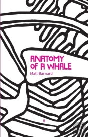 Anatomy Of A Whale