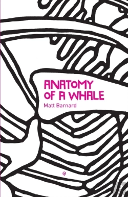 Bertrand.pt - Anatomy Of A Whale