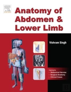 Bertrand.pt - Anatomy Of Abdomen And Lower Limb