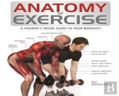 Anatomy Of Exercise
