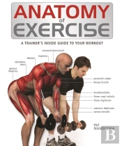 Anatomy Of Exercise