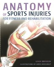 Anatomy Of Sports Injuries
