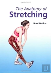 Anatomy Of Stretching