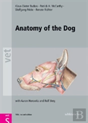 Anatomy Of The Dog