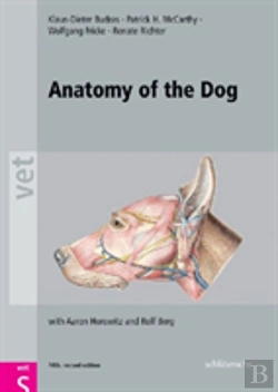 Bertrand.pt - Anatomy Of The Dog