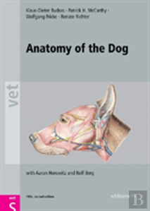 Anatomy Of The Dog