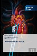 Anatomy Of The Heart