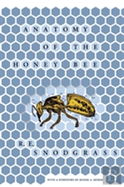 Anatomy Of The Honey Bee