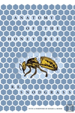 Bertrand.pt - Anatomy Of The Honey Bee