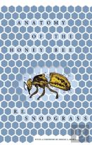 Anatomy Of The Honey Bee
