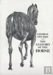 Anatomy Of The Horse
