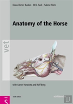 Bertrand.pt - Anatomy Of The Horse