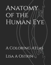 Anatomy Of The Human Eye