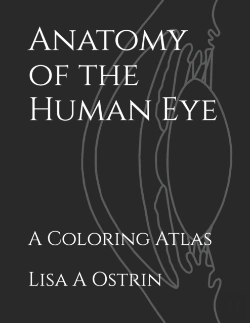 Bertrand.pt - Anatomy Of The Human Eye