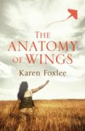 Anatomy Of Wings
