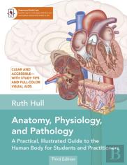 Anatomy, Physiology, And Pathology