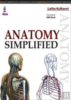 Bertrand.pt - Anatomy Simplified