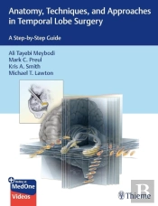 Anatomy, Techniques, And Approaches In Temporal Lobe Surgery