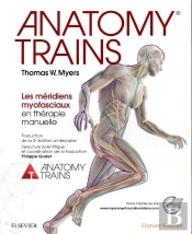 Anatomy Trains ; Les Méridiens Myofasciaux En Thérapie Manuelle