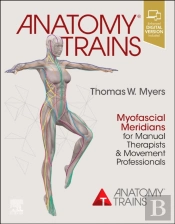 Anatomy Trains
