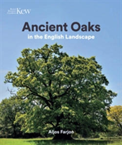 Bertrand.pt - Ancient Oaks