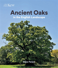 Ancient Oaks