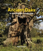 Ancient Oaks In The English Landscape