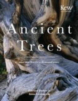 Bertrand.pt - Ancient Trees