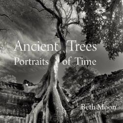 Bertrand.pt - Ancient Trees