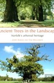 Ancient Trees In The Landscape