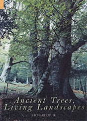 Ancient Trees, Living Landscapes