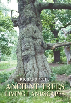 Bertrand.pt - Ancient Trees, Living Landscapes