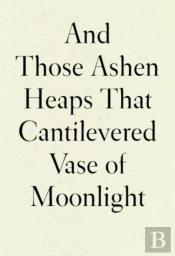 And Those Ashen Heaps That Cantilevered Vase Of Moonlight